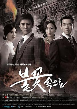 免费seo排名优化公司